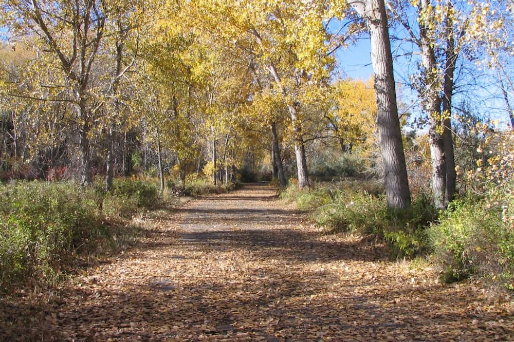 Photo of Others in Billings