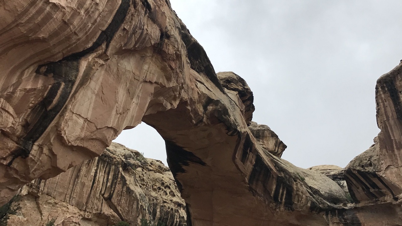 Photo of Others in Escalante