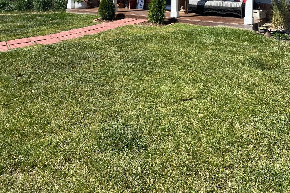 Photo of Others in Sheridan