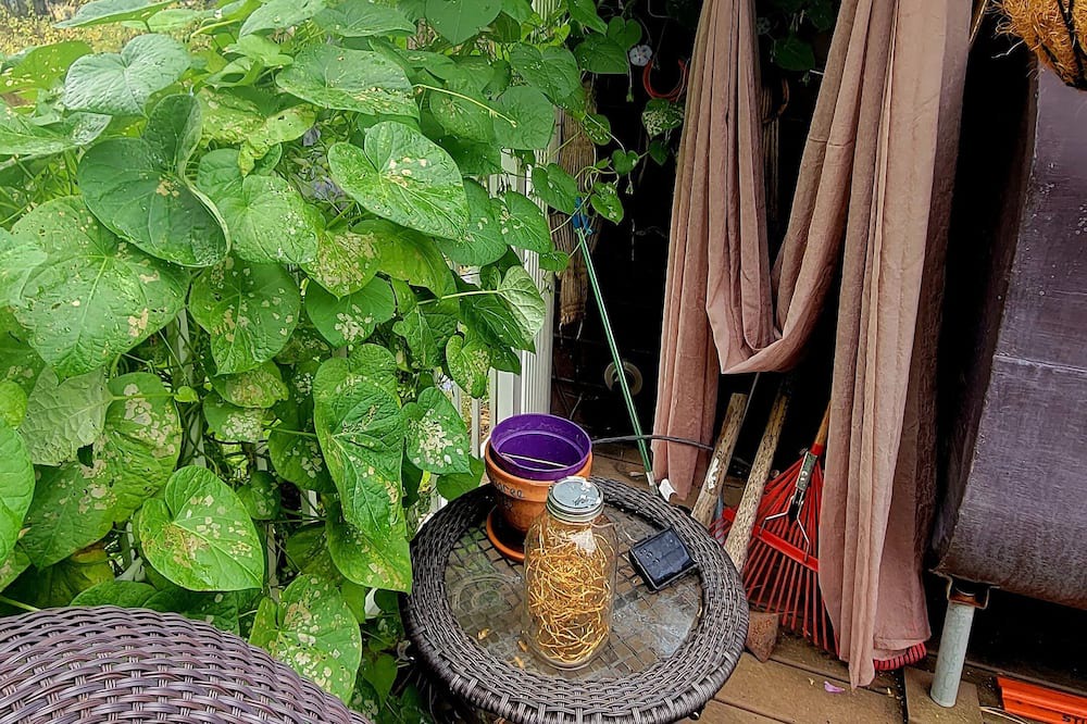 Photo of Outdoor in Ahsahka
