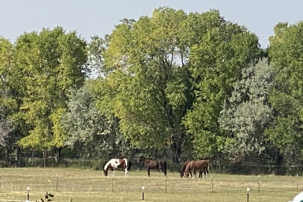 Photo of Others in Riverton