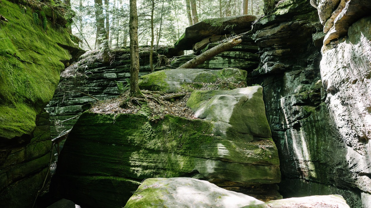 Photo of Outdoor in Brecksville