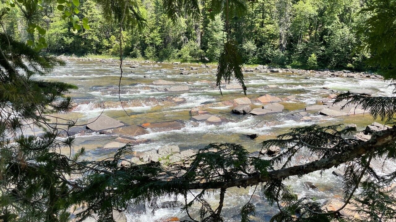 Photo of Outdoor in Libby