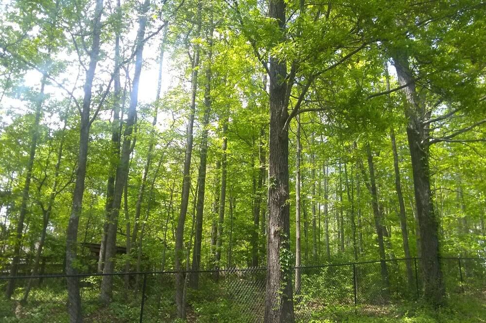 Photo of Outdoor in Mint Hill