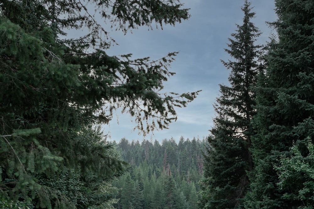 Photo of Outdoor in Marion