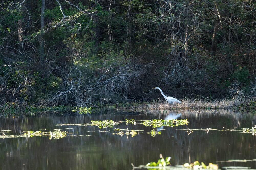 Photo of Others in McComb