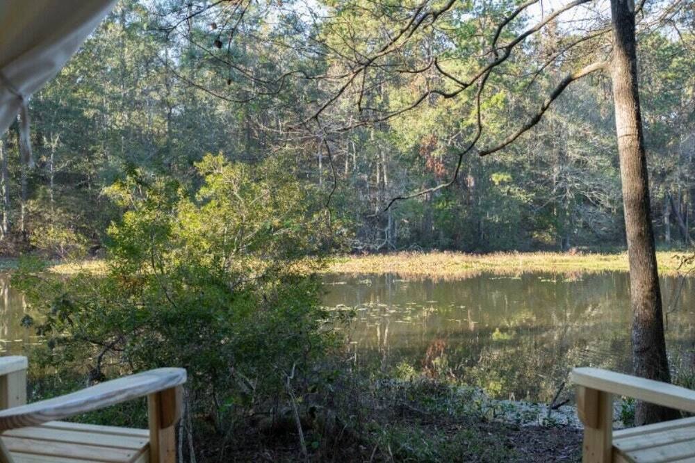 Photo of Others in McComb