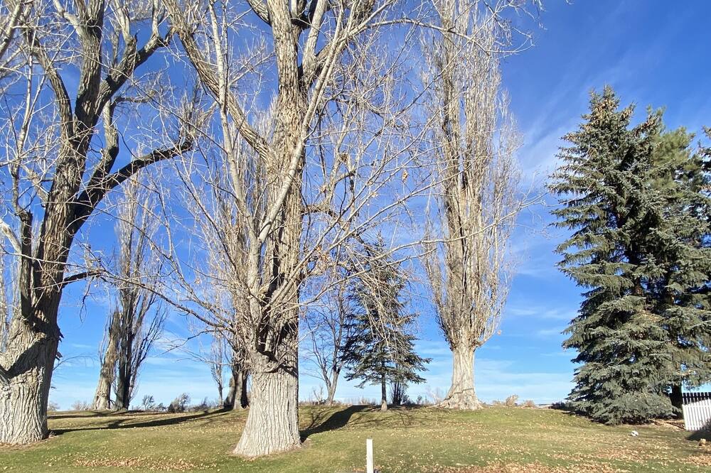 Photo of Outdoor in Heyburn