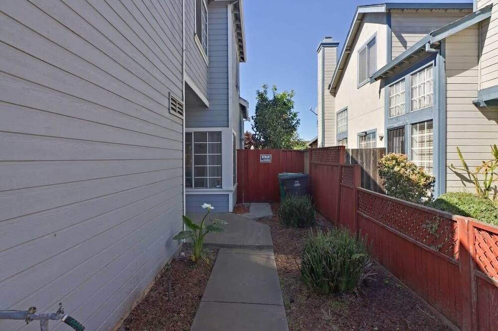 Photo of Outdoor in Mount Eden