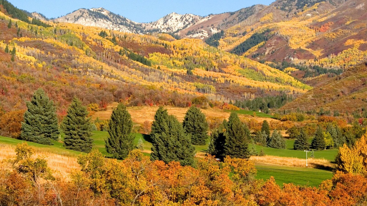 Photo of Others in Heber