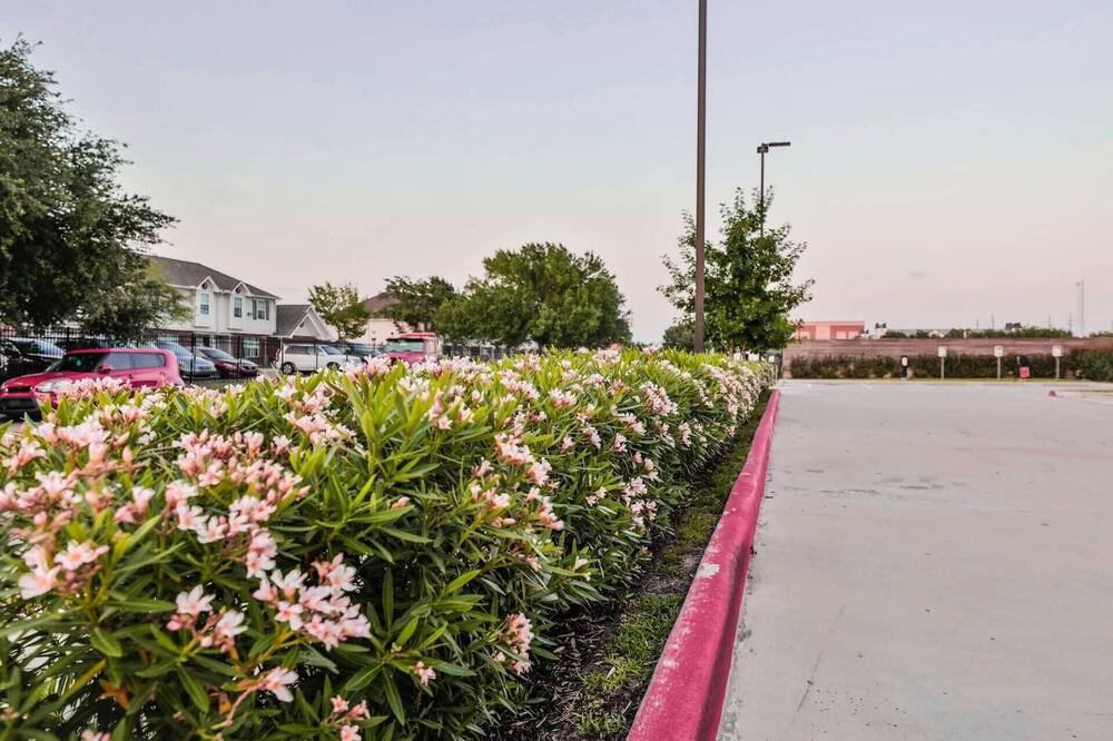 Photo of Others in Chinatown