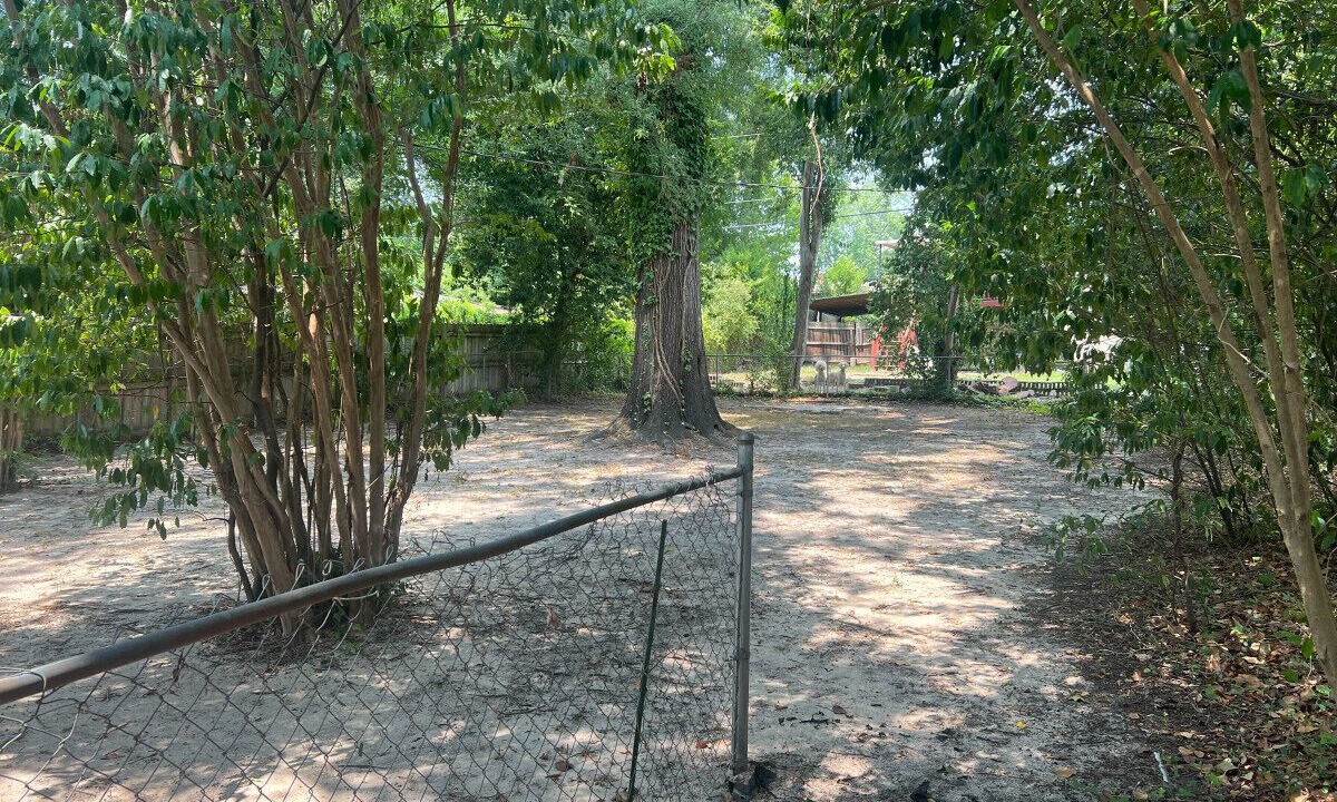 Photo of Outdoor in Earlewood
