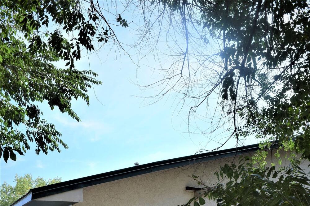 Photo of Outdoor in Livingston