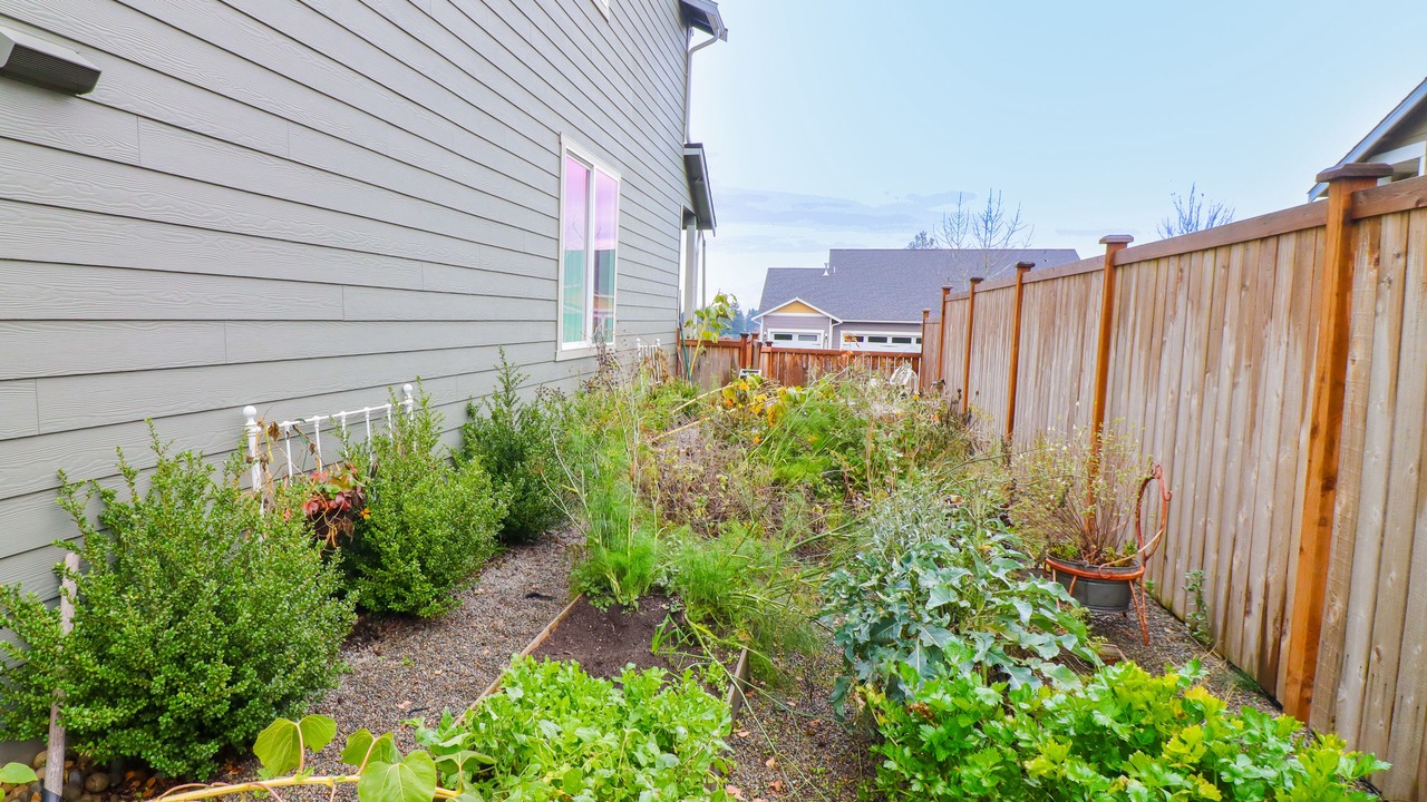 Photo of Outdoor in Yelm