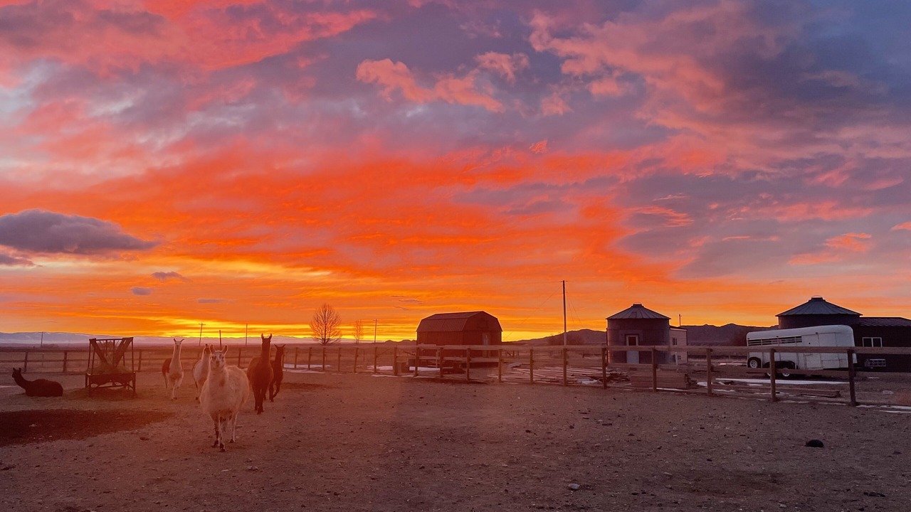 Photo of Outdoor in Ralston