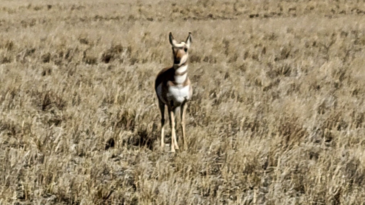 Photo of Others in Broadwater County