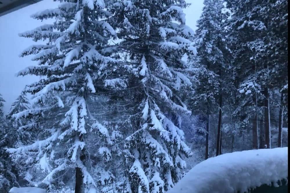 Photo of Outdoor in Bayview