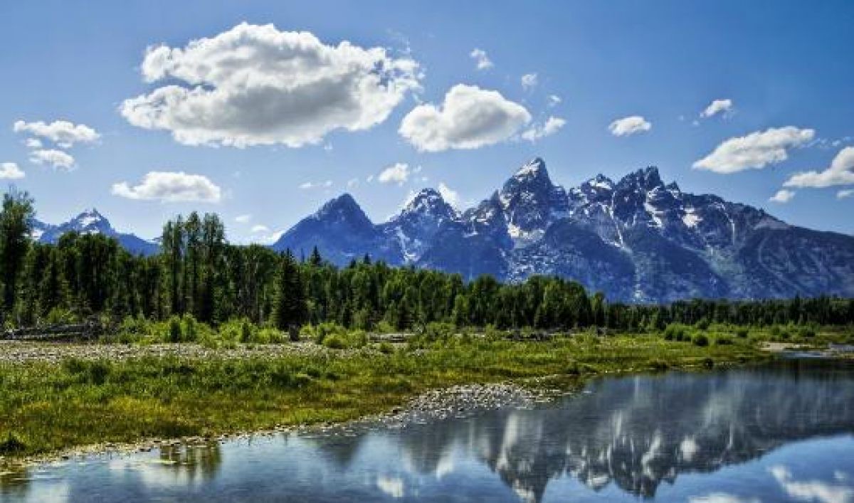 Photo of Outdoor in Moran