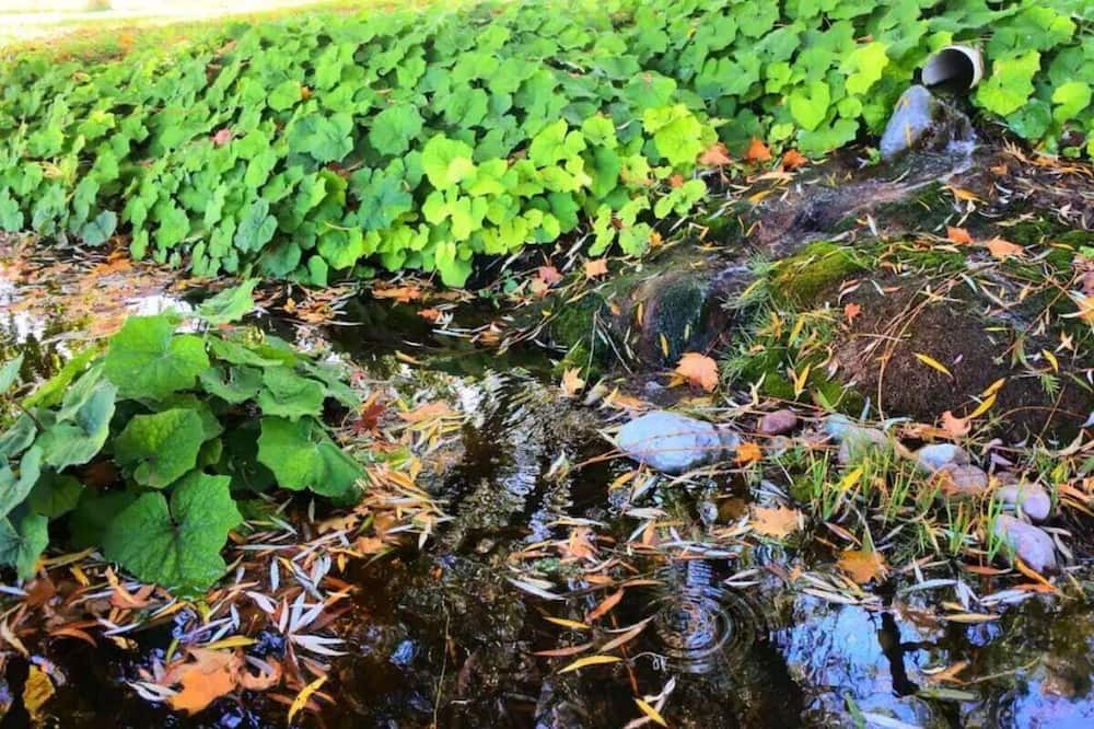 Photo of Outdoor in Polson