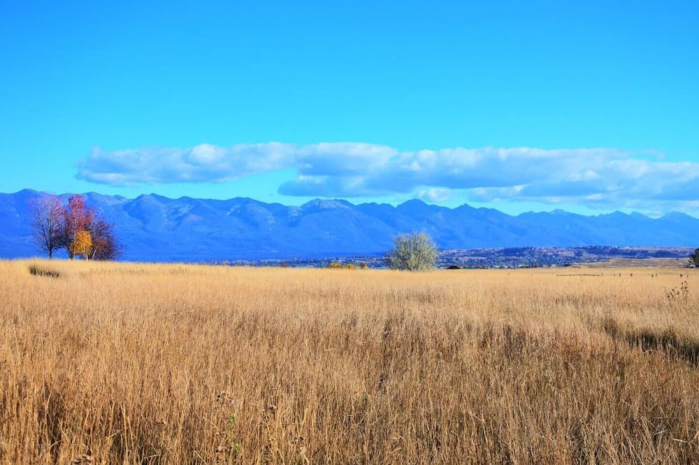 Photo of Others in Polson