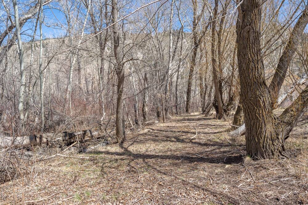 Photo of Outdoor in Livingston