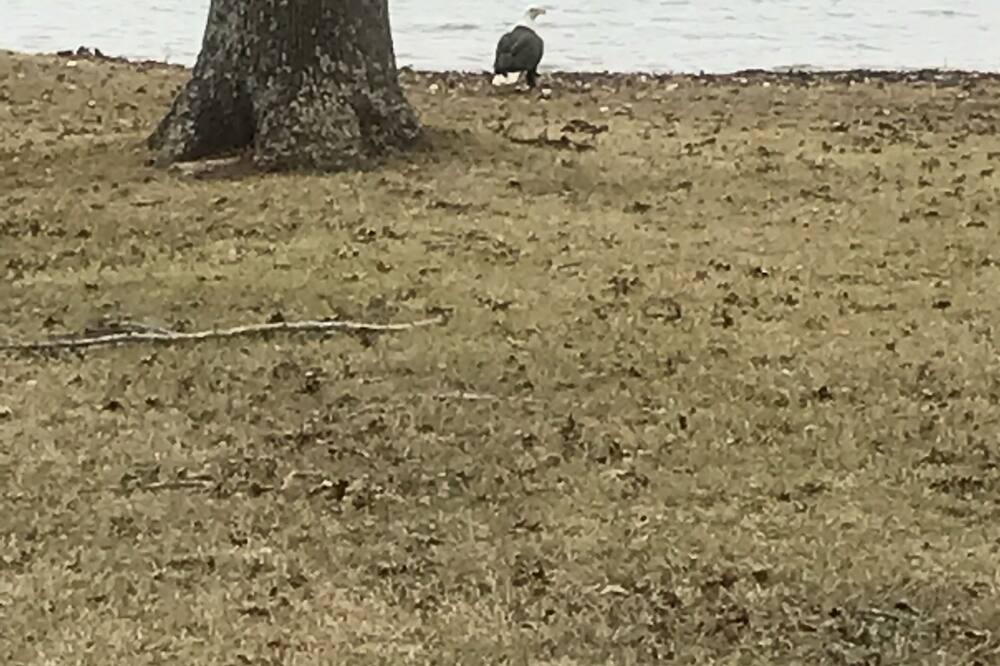 Photo of Others in San Augustine