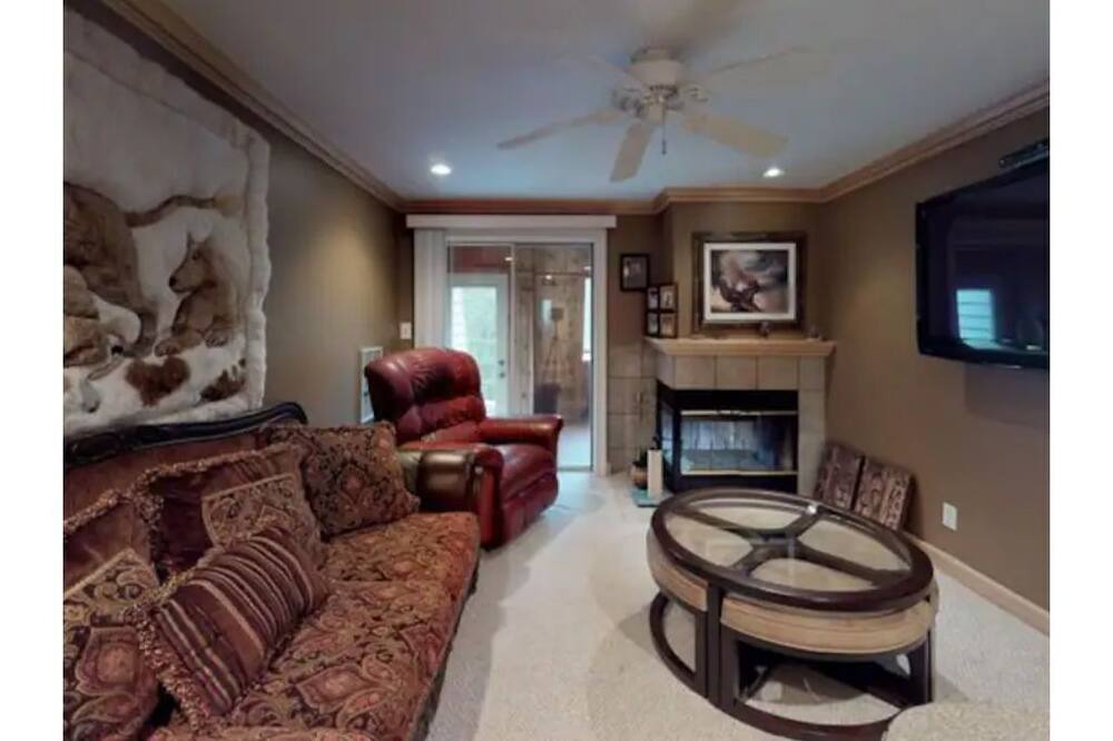 Photo of Livingroom in Snowshoe