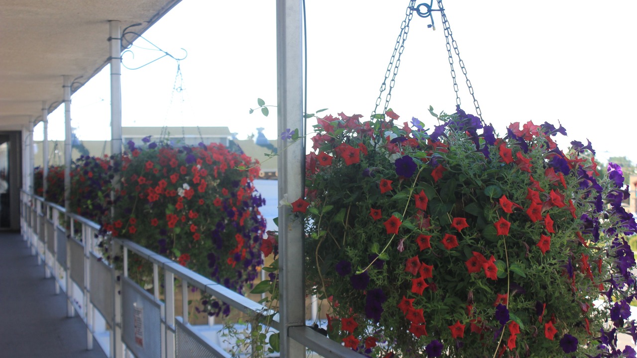 Photo of Patio Balcony in Bozeman