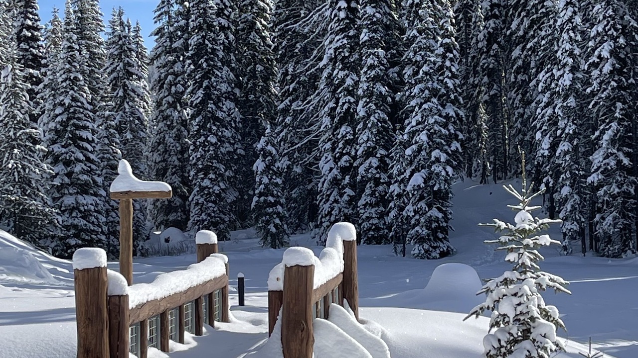 Photo of Outdoor in Lolo
