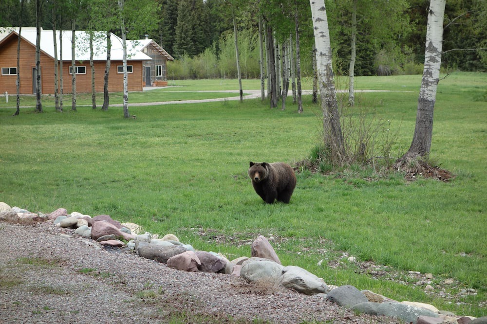 Photo of Others in Polebridge