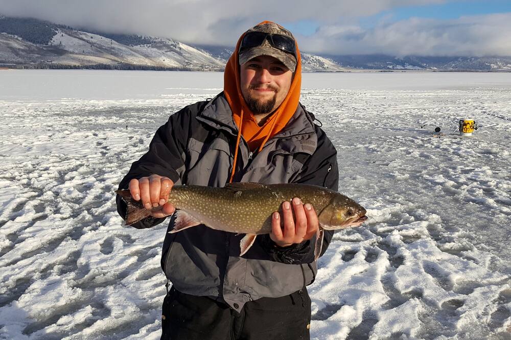 Photo of Others in Salmon