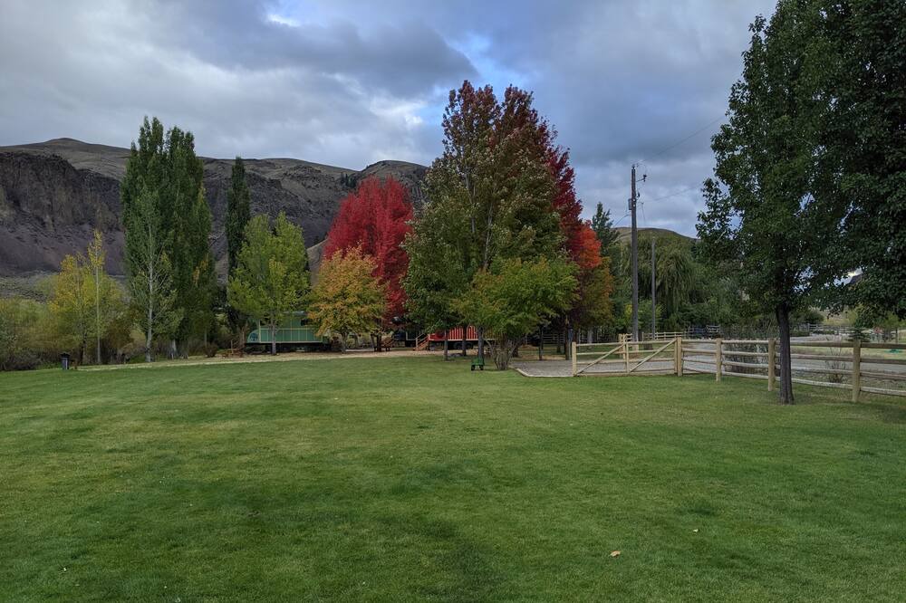 Photo of Others in Salmon