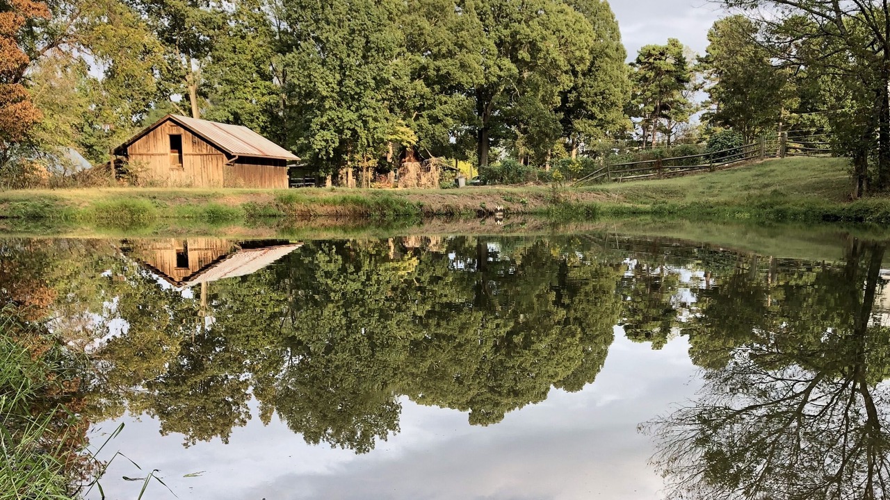 Photo of Others in Davis Lake - Eastfield