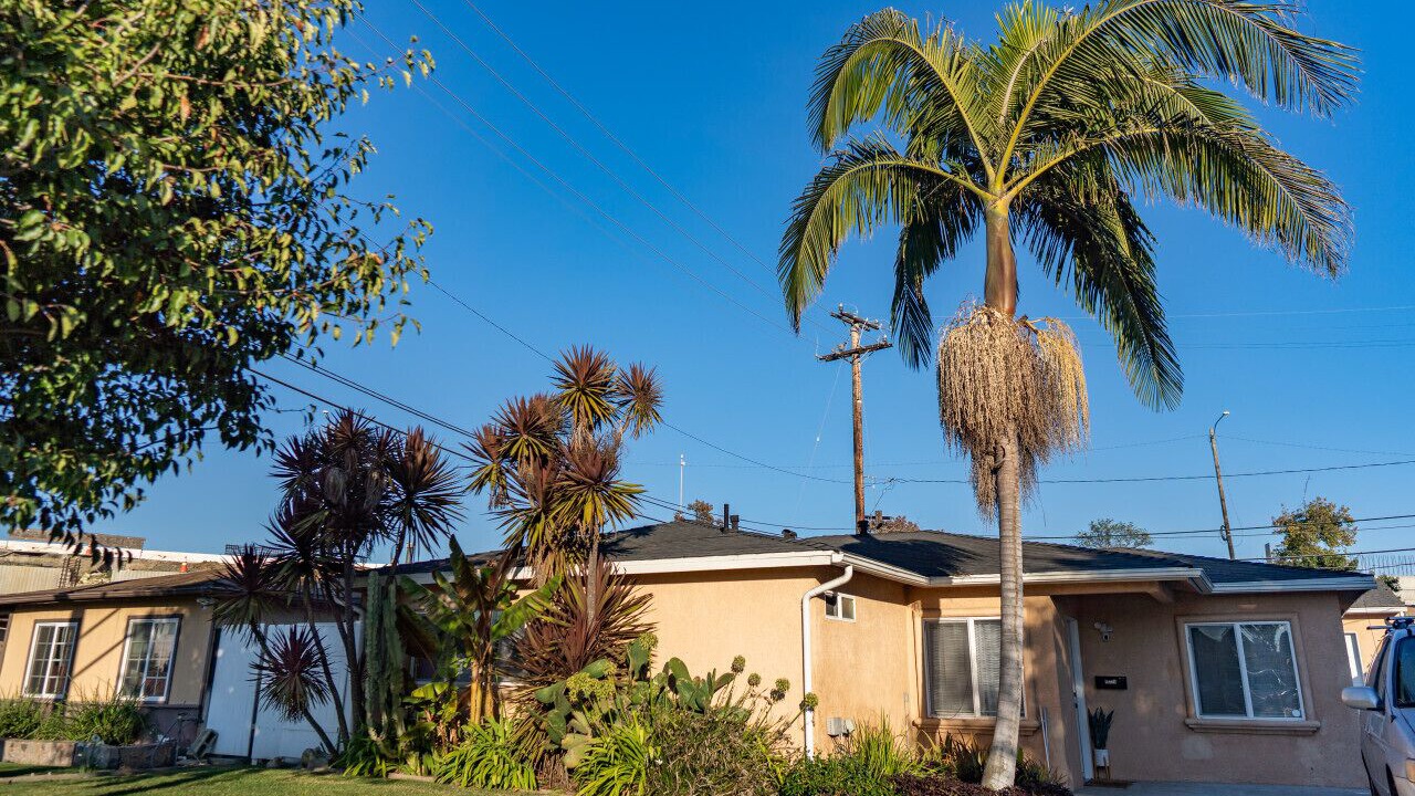 Photo of Outdoor in Northwest Torrance