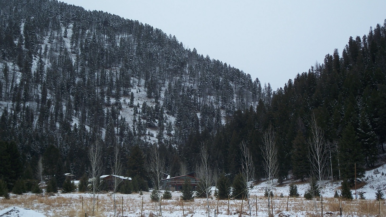 Photo of Others in West Yellowstone