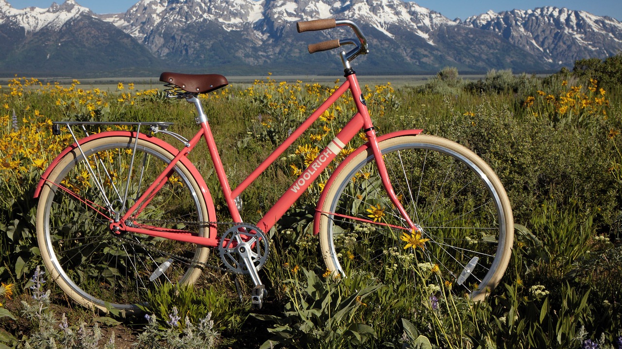 Photo of Outdoor in Jackson Hole
