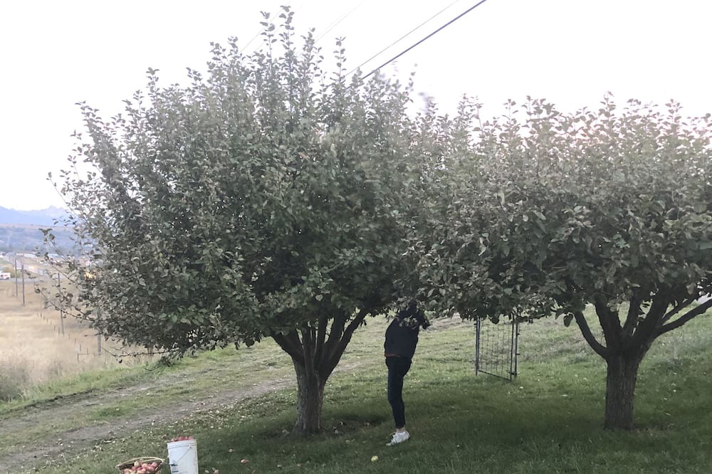 Photo of Outdoor in Polson