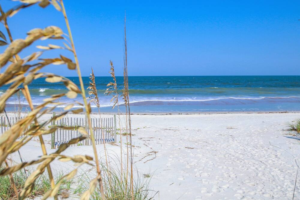 Photo of Others in Fernandina Beach