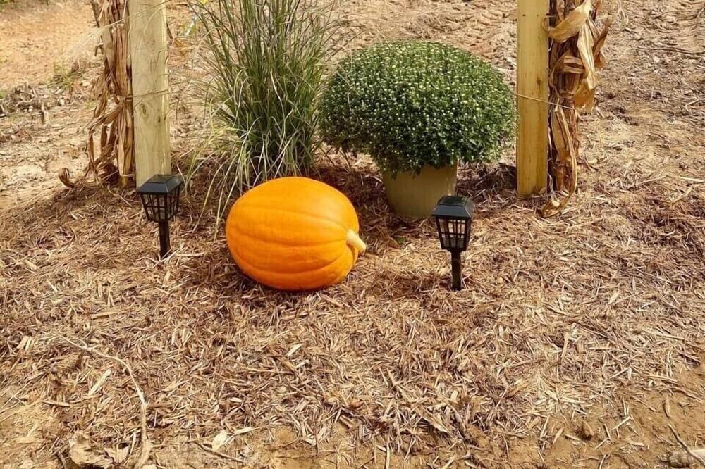 Photo of Outdoor in Ozone