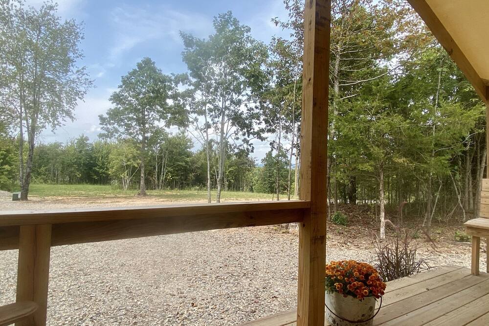 Photo of Patio Balcony in Ozone