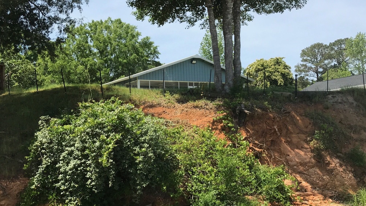 Photo of Outdoor in Winnsboro