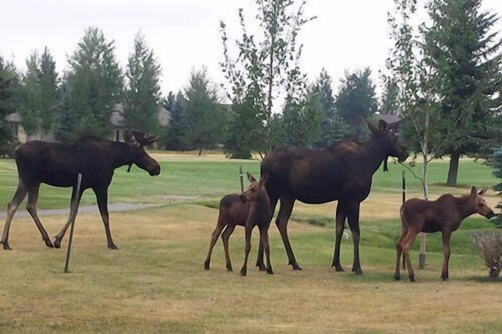Photo of Others in Red Lodge