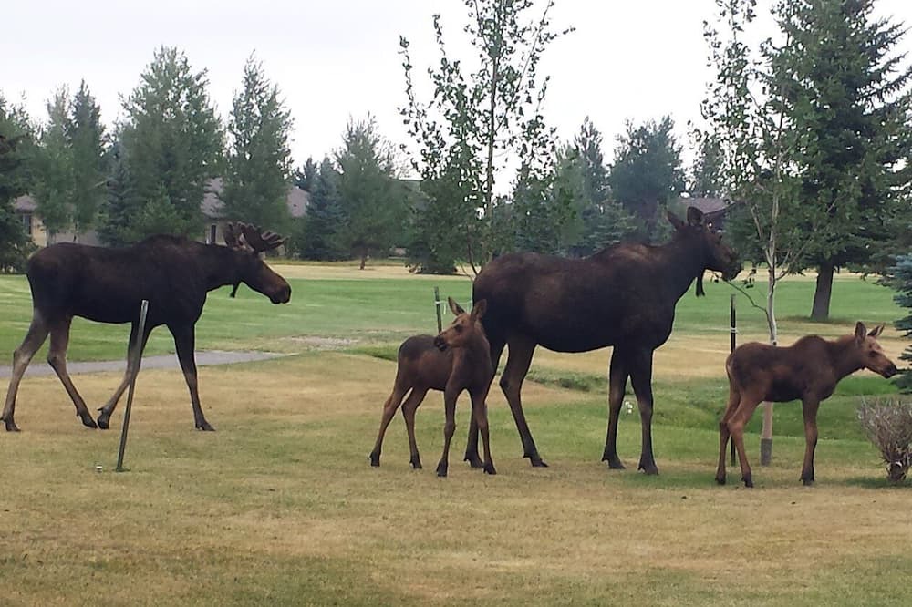 Photo of Others in Red Lodge
