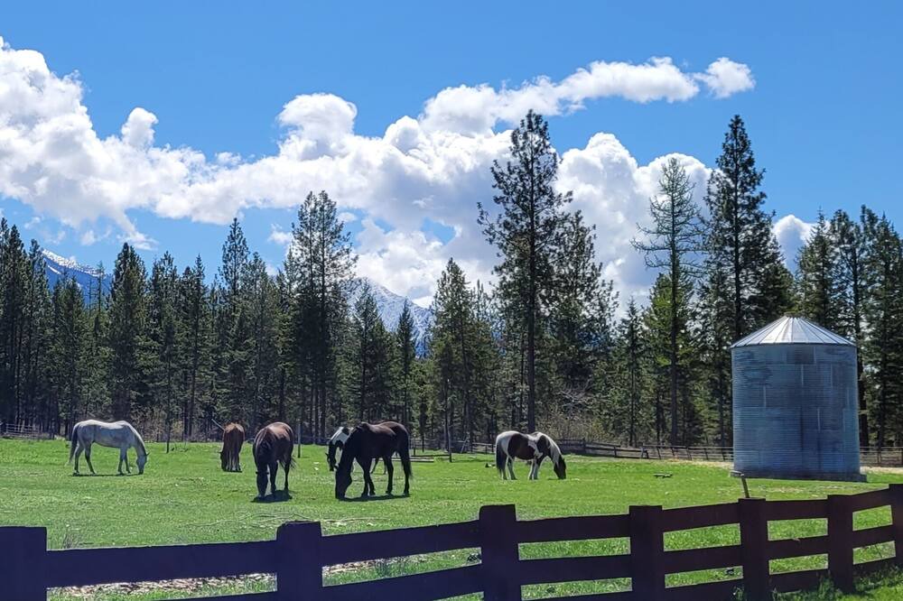 Photo of Outdoor in Ronan