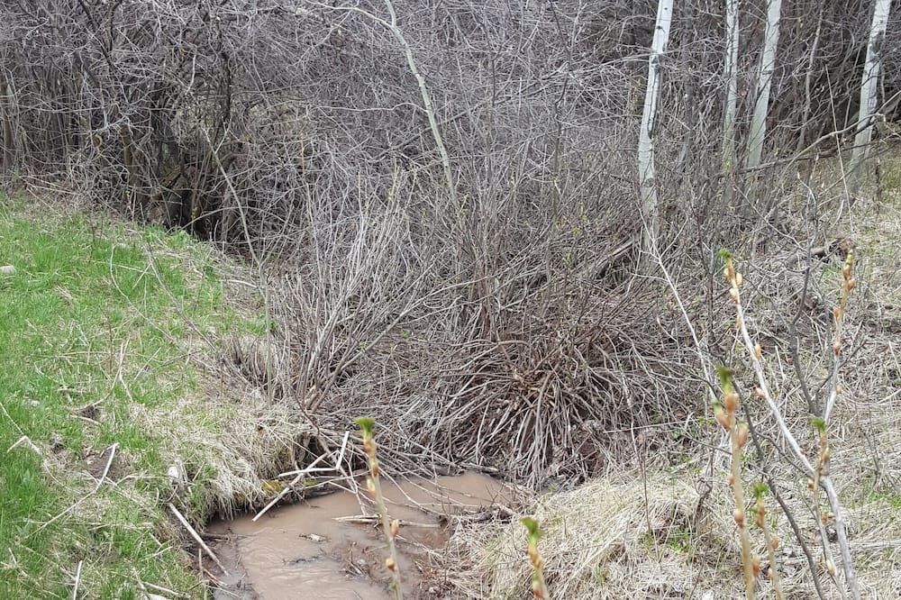 Photo of Outdoor in Afton