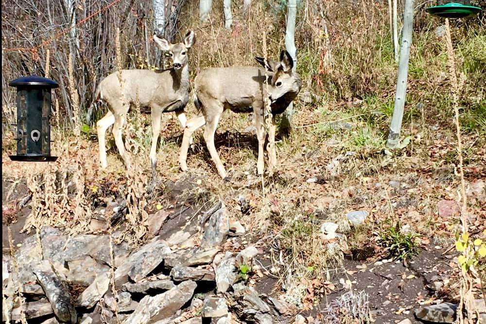 Photo of Outdoor in Afton