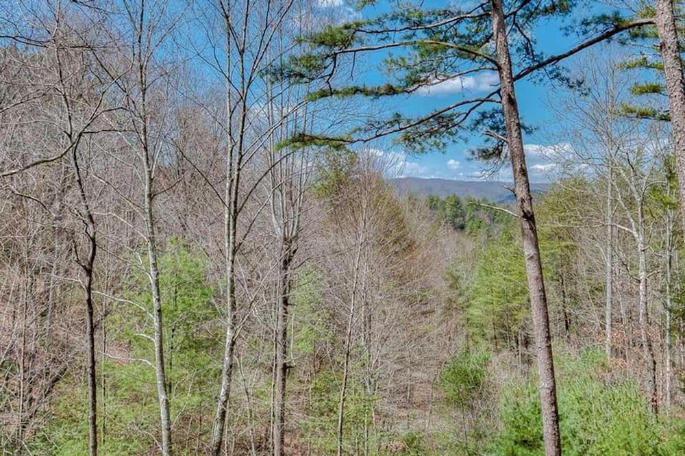 Photo of Others in Blue Ridge
