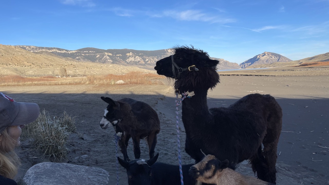 Photo of Outdoor in Cody