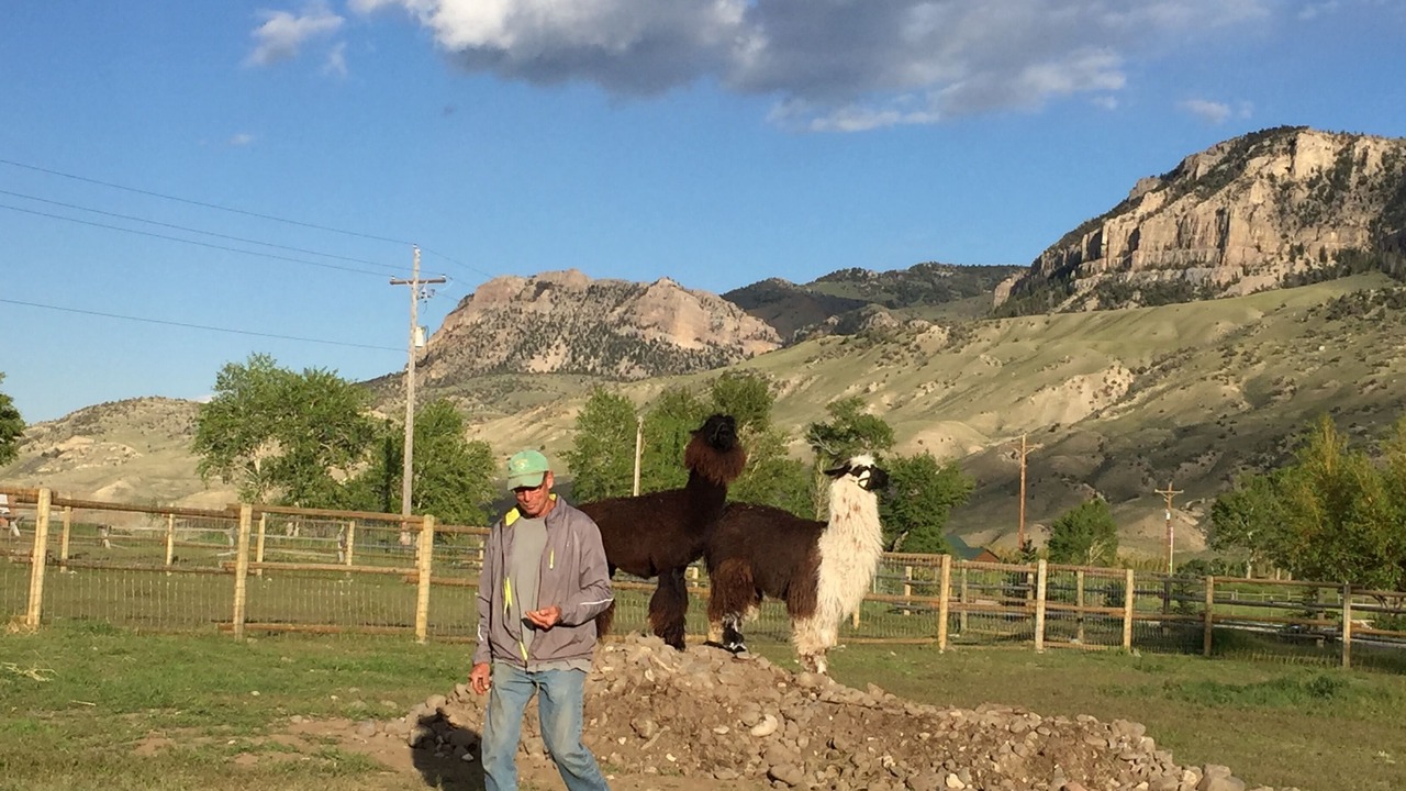Photo of Outdoor in Cody