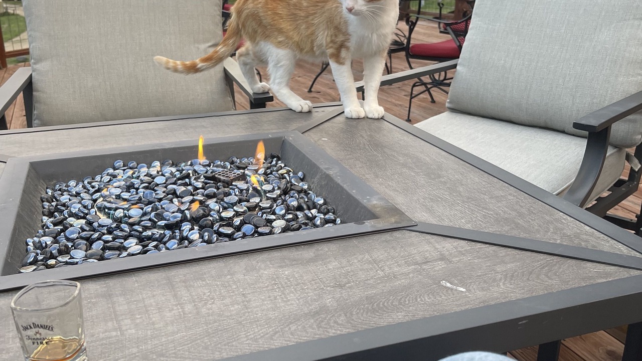 Photo of Patio Balcony in Cody
